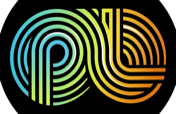 PulseLake logo